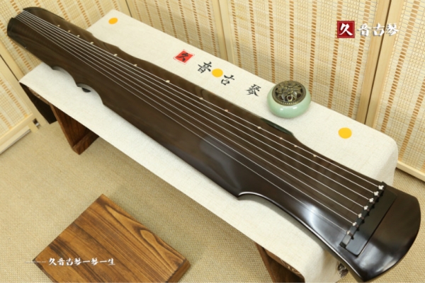 黄南藏族自治州初级演奏古琴【伏羲式】