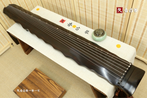 黄南藏族自治州初级演奏古琴【落霞式】
