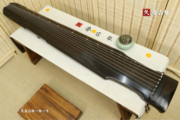 黄南藏族自治州初级演奏古琴【仲尼式】
